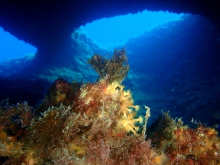 Grotta dell'Isca